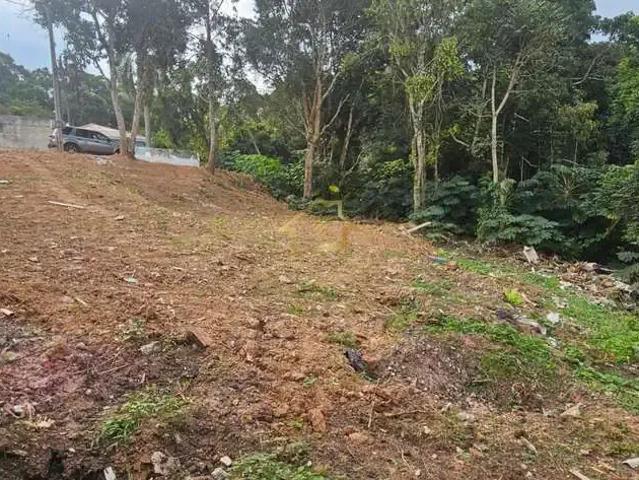 Terreno / Lote para Venda em Quatro Barras/PR Jardim Pinheiros