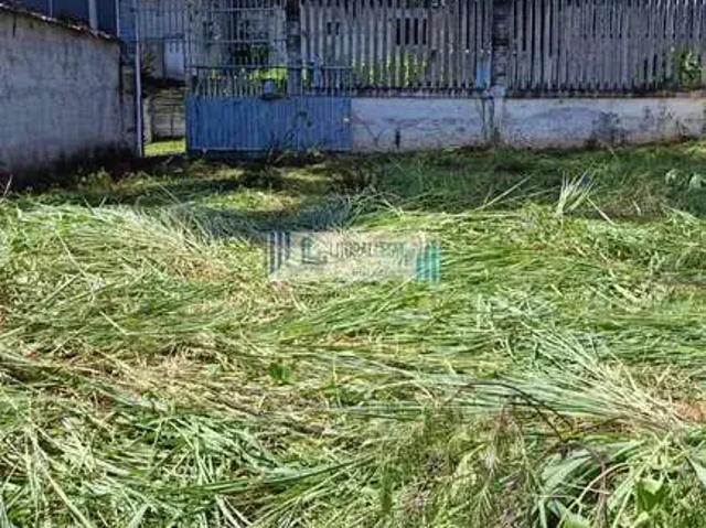 Terreno / Lote para Venda em Quatro Barras/PR Jardim São Pedro