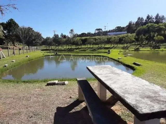 Terreno / Lote para Venda em Quatro Barras/PR Palmitalzinho