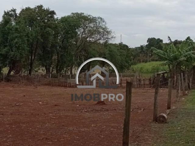 Terreno / Lote para Venda em Quadra/SP Aleluia
