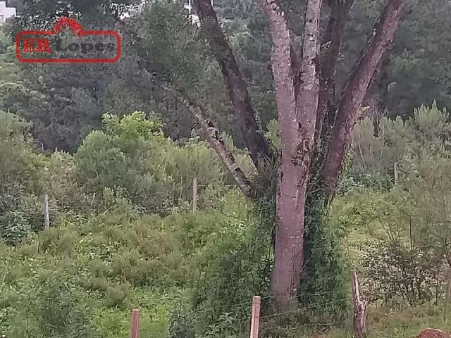 Terreno / Lote para Venda em Quitandinha/PR Centro