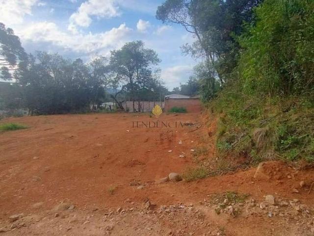 Terreno / Lote para Venda em Quitandinha/PR Ferreiras