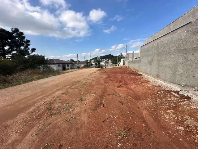 Terreno / Lote para Venda em Quitandinha/PR Vila Nova