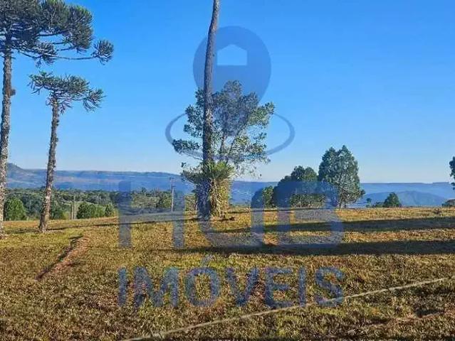 Terreno / Lote para Venda em Rancho Queimado/SC Taquaras