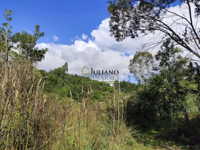 Terreno / Lote para Venda em Rancho Queimado/SC Taquaras