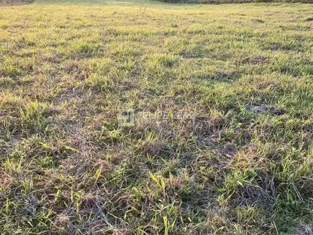 Terreno / Lote para Venda em Rancho Queimado/SC Taquaras