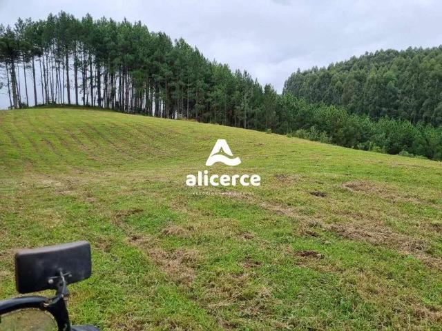 Terreno / Lote para Venda em Rancho Queimado/SC Vargedo