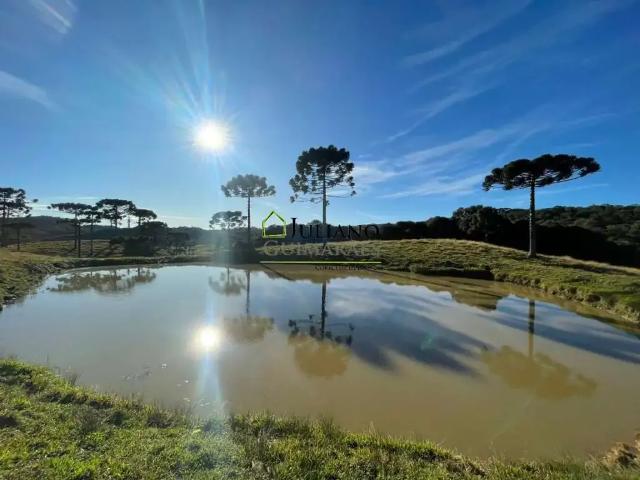 Terreno / Lote para Venda em Rancho Queimado/SC Centro