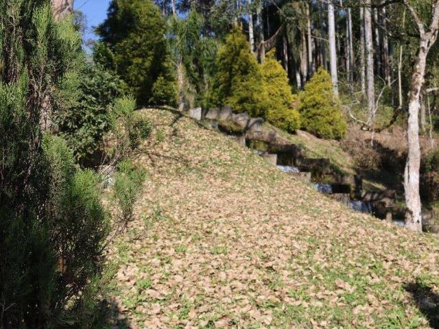 Terreno / Lote para Venda em Rancho Queimado/SC Zona Rural