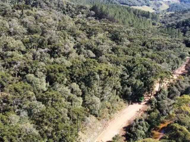 Terreno / Lote para Venda em Rancho Queimado/SC Centro