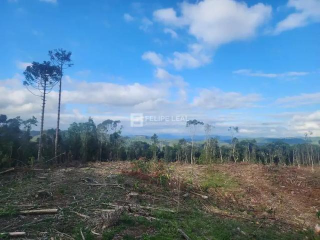 Terreno / Lote para Venda em Rancho Queimado/SC Zona Rural