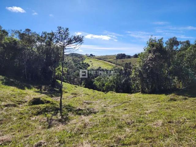 Terreno / Lote para Venda em Rancho Queimado/SC Águas Claras