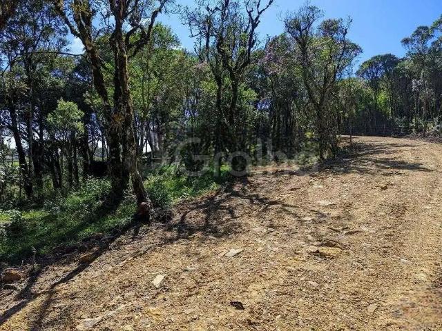 Terreno / Lote para Venda em Rancho Queimado/SC Águas Claras