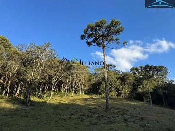 Terreno / Lote para Venda em Rancho Queimado/SC Águas Claras