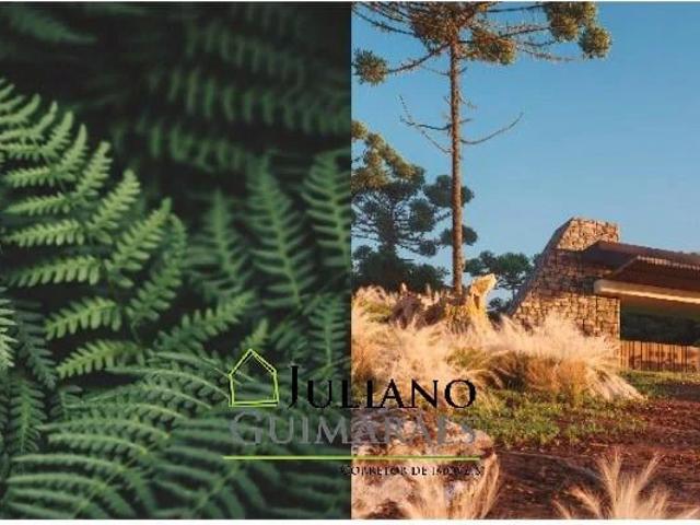 Terreno / Lote para Venda em Rancho Queimado/SC Centro