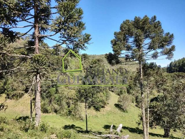 Terreno / Lote para Venda em Rancho Queimado/SC Centro