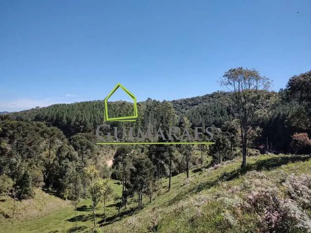 Terreno / Lote para Venda em Rancho Queimado/SC Centro