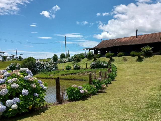 Terreno / Lote para Venda em Rancho Queimado/SC Centro