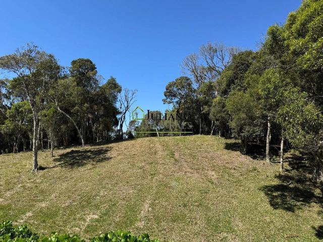 Terreno / Lote para Venda em Rancho Queimado/SC Centro