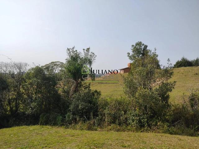 Terreno / Lote para Venda em Rancho Queimado/SC Centro