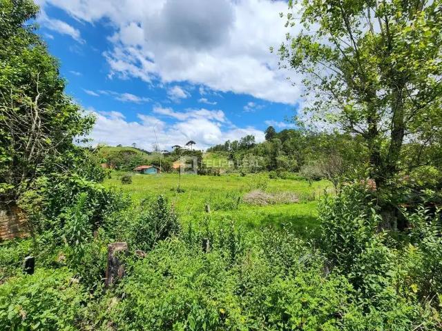 Terreno / Lote para Venda em Rancho Queimado/SC Centro