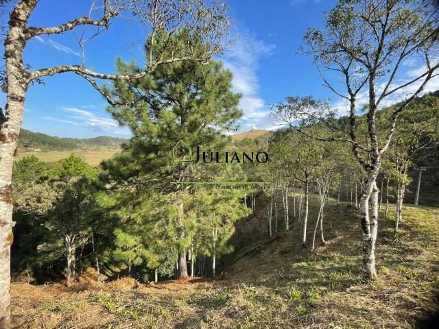 Terreno / Lote para Venda em Rancho Queimado/SC Centro