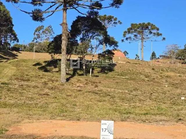 Terreno / Lote para Venda em Rancho Queimado/SC Centro