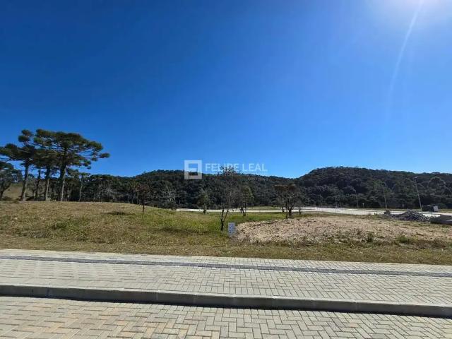 Terreno / Lote para Venda em Rancho Queimado/SC Centro