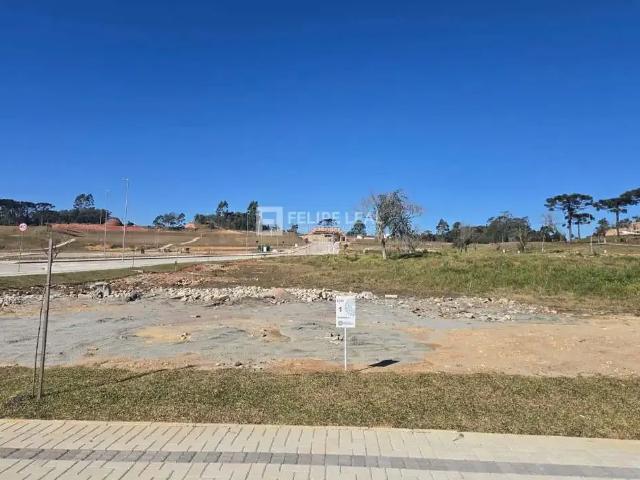 Terreno / Lote para Venda em Rancho Queimado/SC Centro