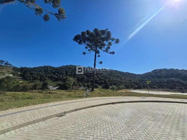 Terreno / Lote para Venda em Rancho Queimado/SC Centro
