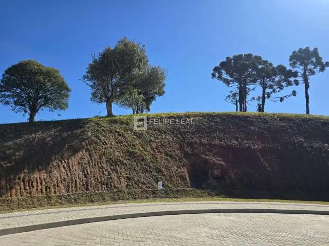 Terreno / Lote para Venda em Rancho Queimado/SC Centro