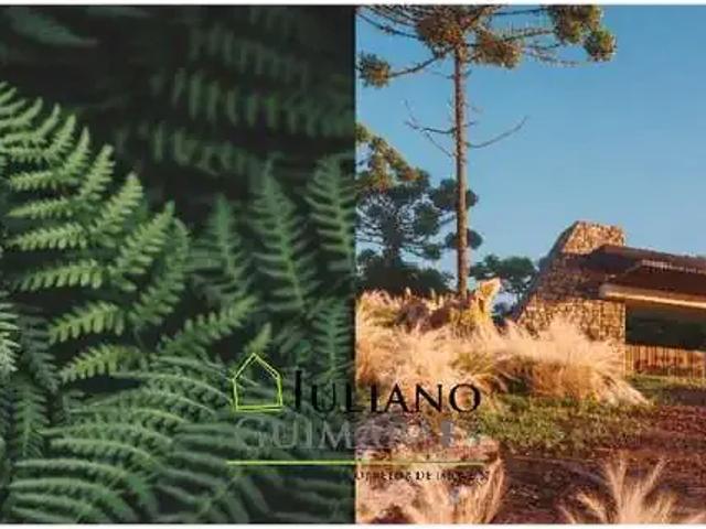 Terreno / Lote para Venda em Rancho Queimado/SC Centro