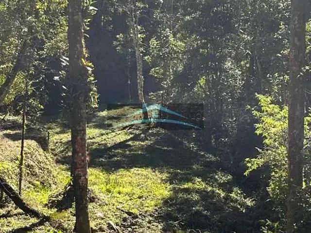 Terreno / Lote para Venda em Rancho Queimado/SC Morro Chato