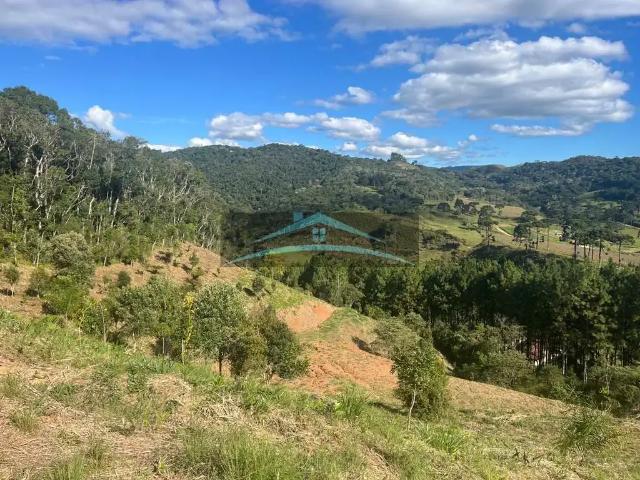 Terreno / Lote para Venda em Rancho Queimado/SC Morro Chato