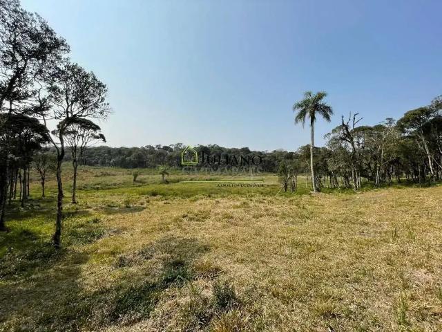 Terreno / Lote para Venda em Rancho Queimado/SC Morro Chato 2 Quartos