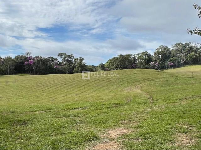 Terreno / Lote para Venda em Rancho Queimado/SC Queimada Grande