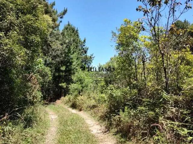 Terreno / Lote para Venda em Rancho Queimado/SC Centro