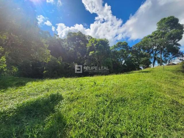 Terreno / Lote para Venda em Rancho Queimado/SC Rio das Antas