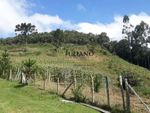 Terreno / Lote para Venda em Rancho Queimado/SC Centro