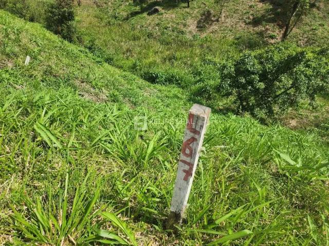 Terreno / Lote para Venda em Rancho Queimado/SC Rio das Antas