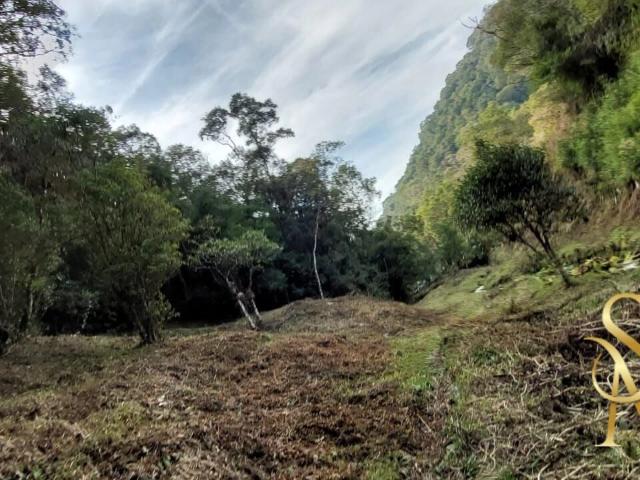 Terreno / Lote para Venda em Rancho Queimado/SC Rio Scharf