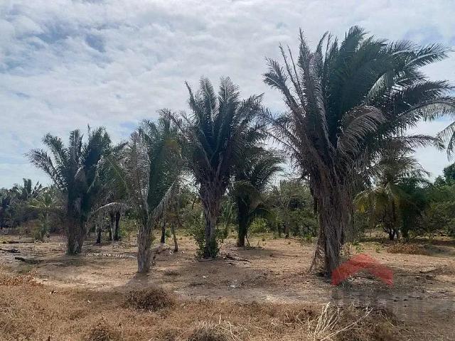 Terreno / Lote para Venda em Raposa/MA Centro