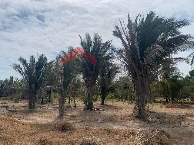 Terreno / Lote para Venda em Raposa/MA Centro