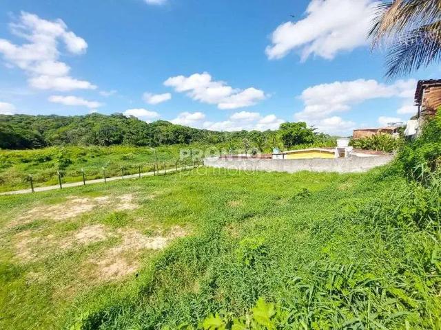 Terreno / Lote para Venda em Recife/PE Várzea