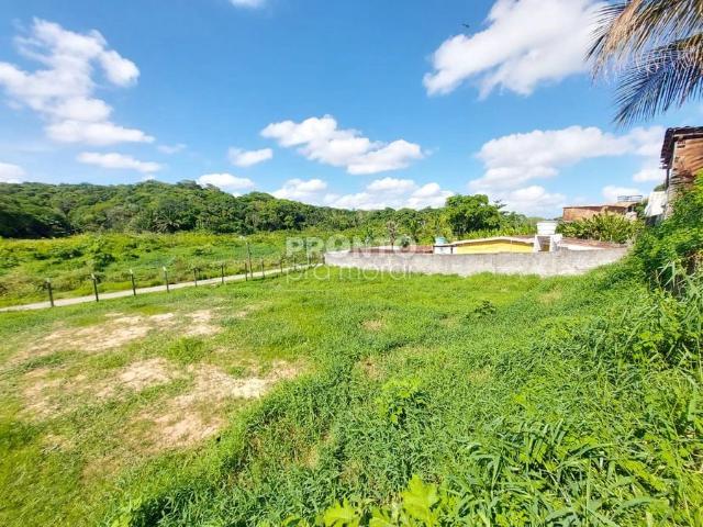Terreno / Lote para Venda em Recife/PE Várzea