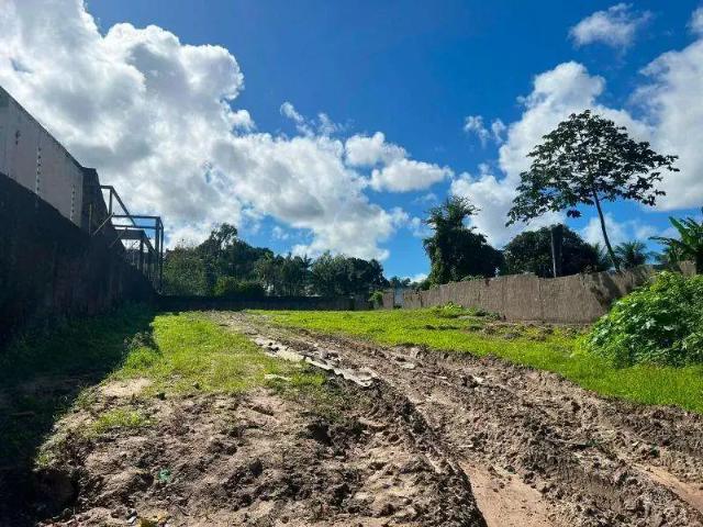 Terreno / Lote para Venda em Recife/PE Apipucos