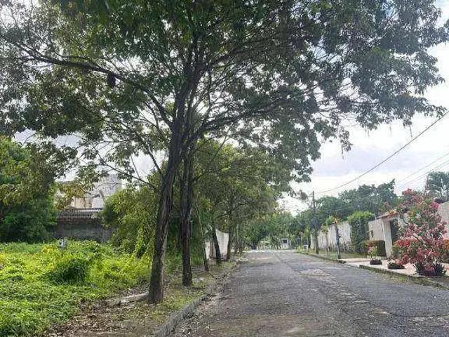 Terreno / Lote para Venda em Recife/PE Apipucos