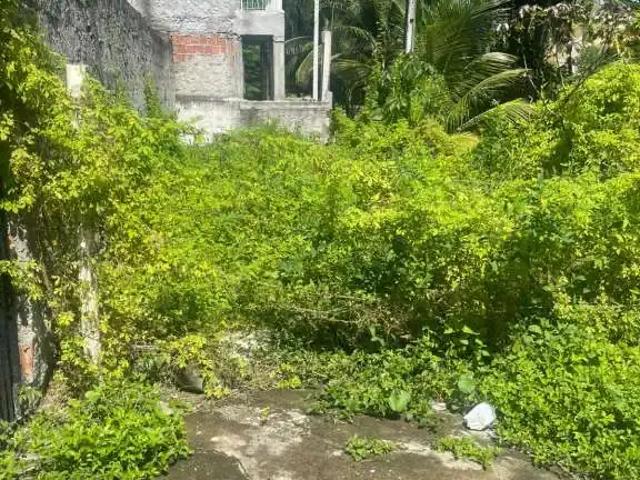 Terreno / Lote para Venda em Recife/PE Areias
