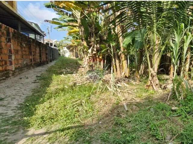 Terreno / Lote para Venda em Recife/PE Campo Grande