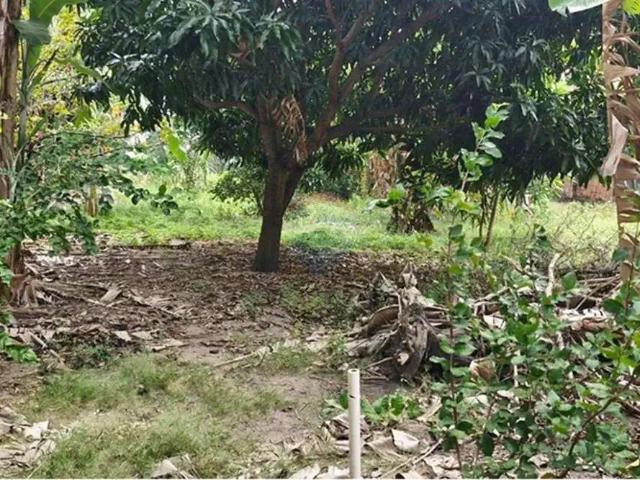 Terreno / Lote para Venda em Recife/PE Campo Grande
